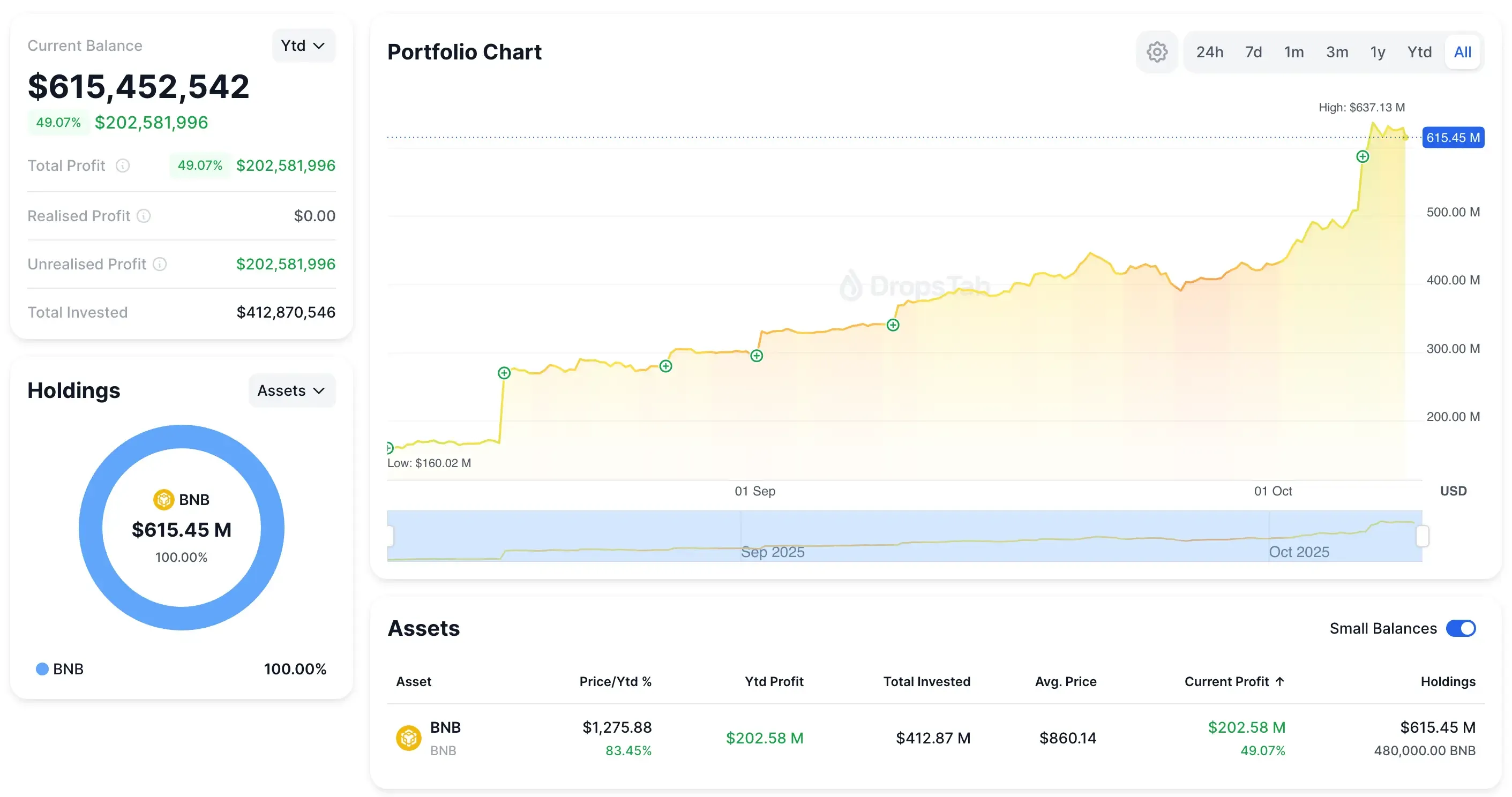Danh mục đầu tư tiền điện tử của Công ty Mạng BNB (BNC)