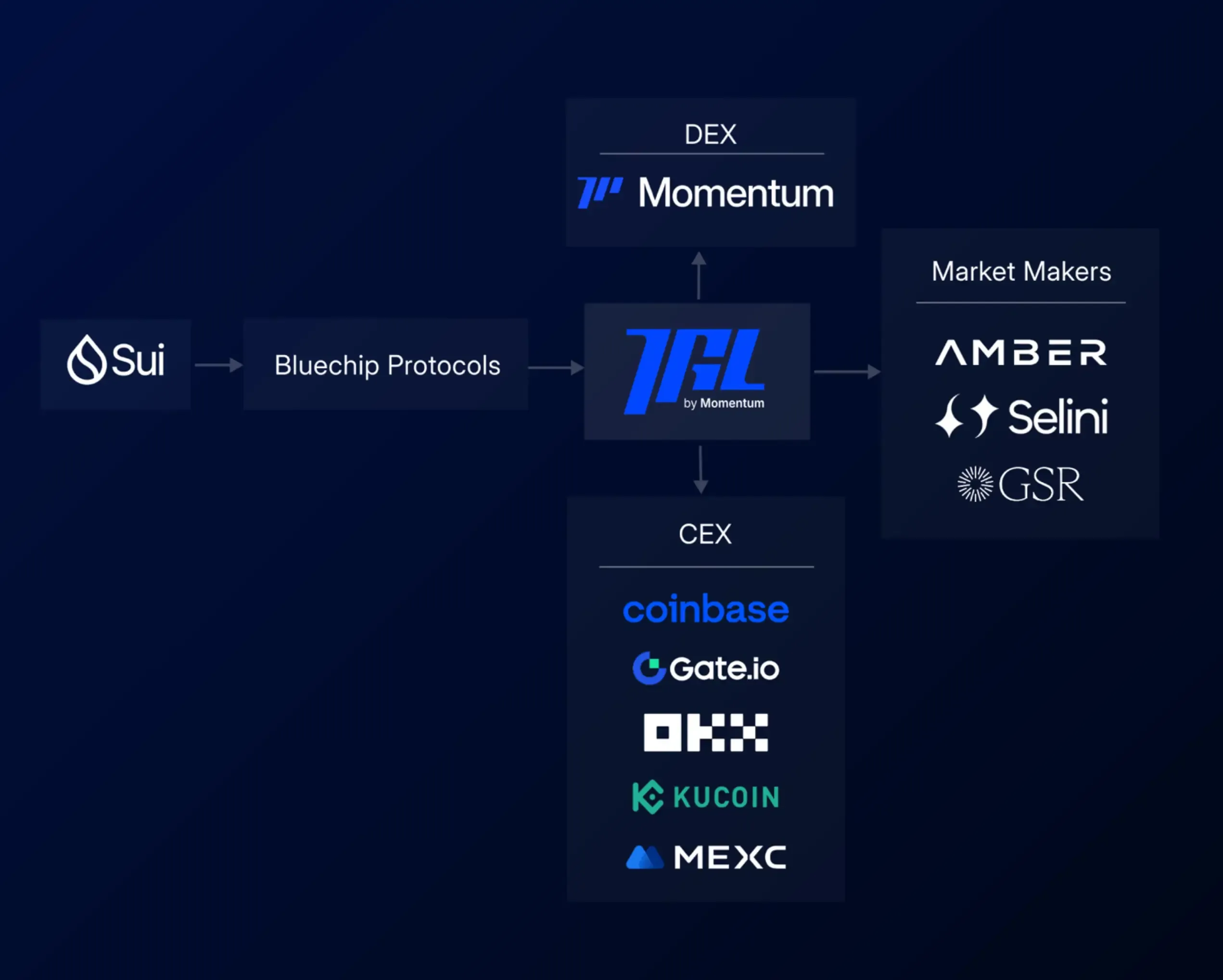 Momentum’s liquidity ecosystem