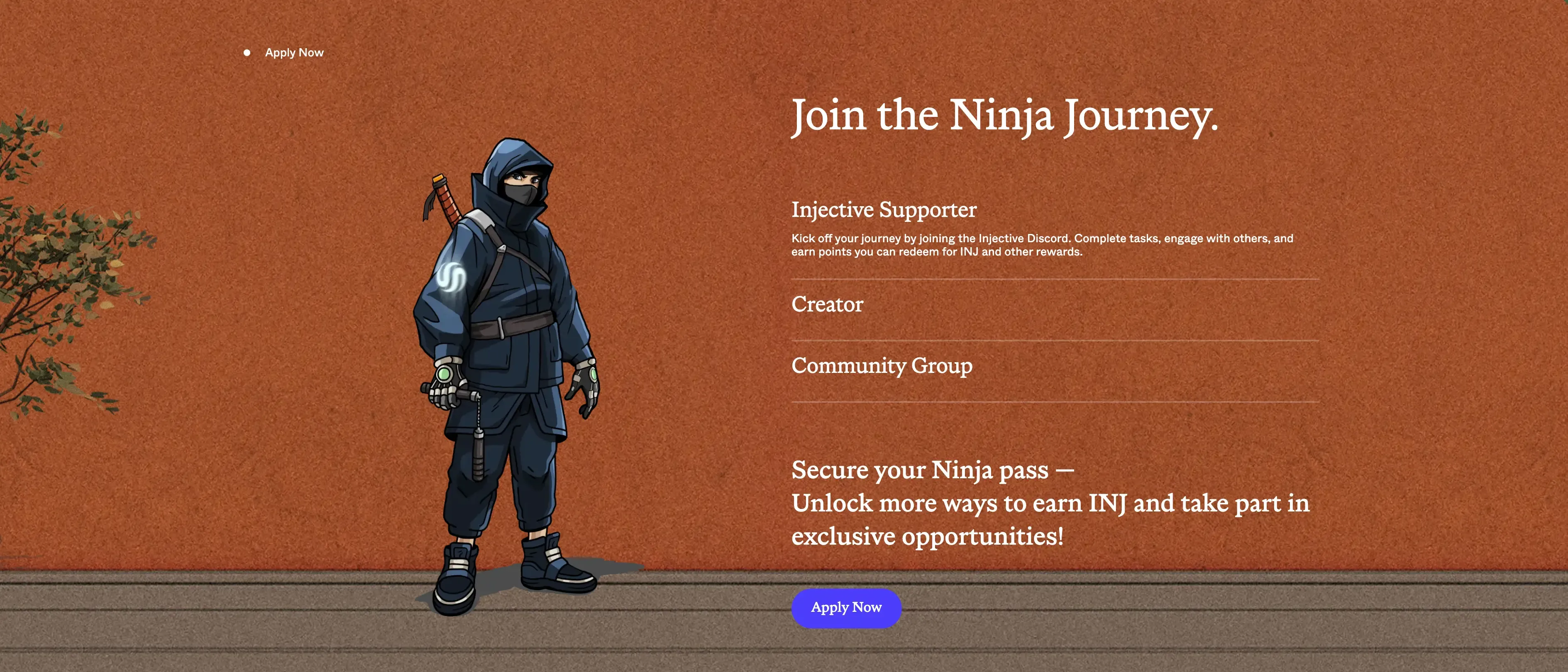 Application form, to secure Ninja pass and earn INJ